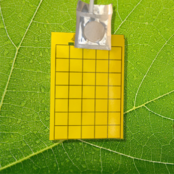 Alpha Scents  Yellow Jacket Trap & Lure