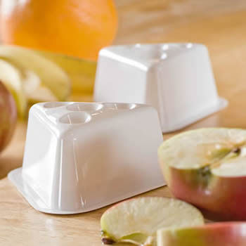 Alpha Scents | Vinegar Fly Trap