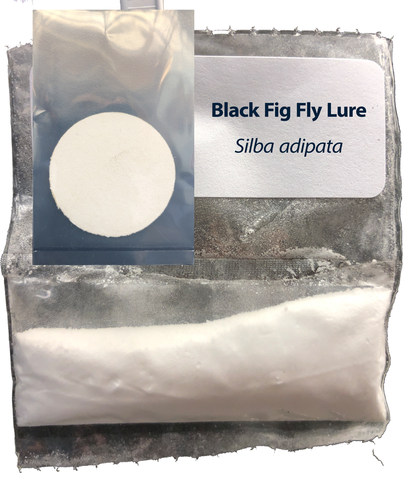 Black Fig Fly Lure