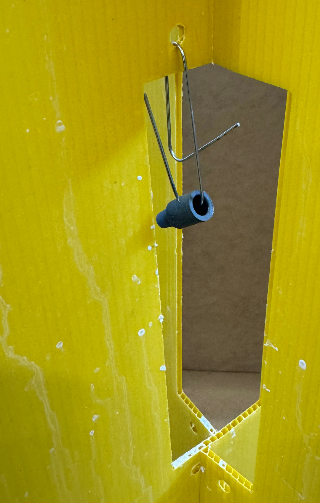 Western Leaffooted Bug Lure – Alpha Scents
