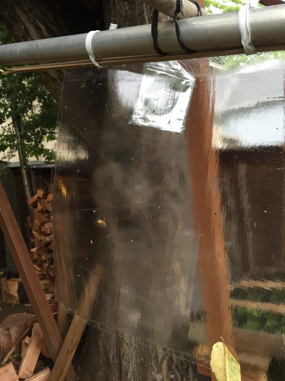 Alpha Scents | Stink Bug Trap & Lure