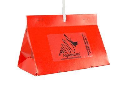 Peach Tree Borer Lure