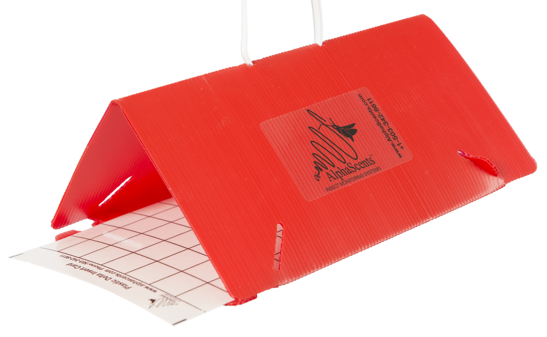 Tomato Leafminer Lure – Alpha Scents
