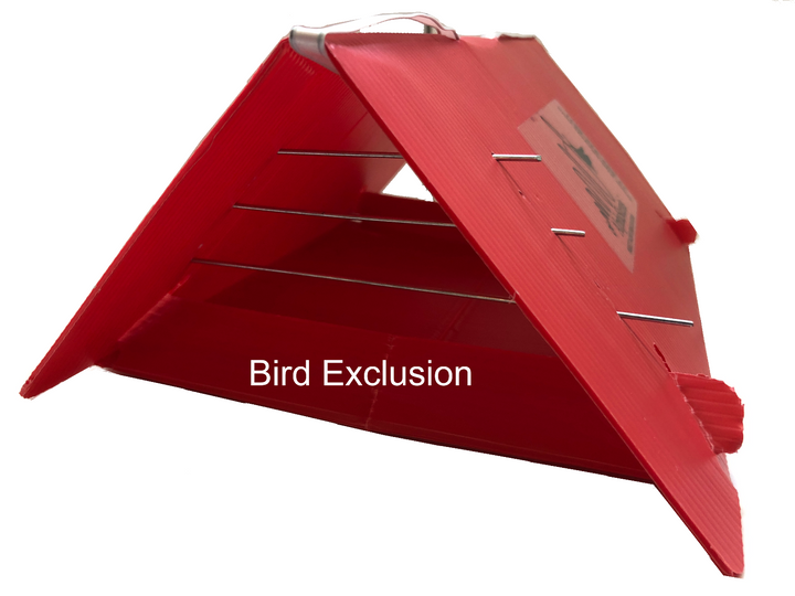 Plastic Delta Trap (Red) complete (includes sticky insert and