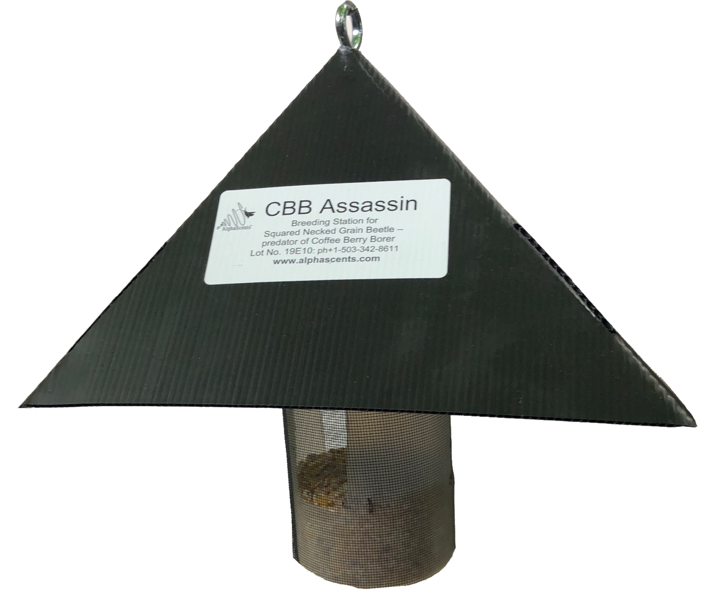 CBB Assassin Alpha Scents